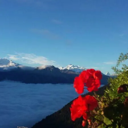 Apartment Appartementhaus Zurschmitten 9 *